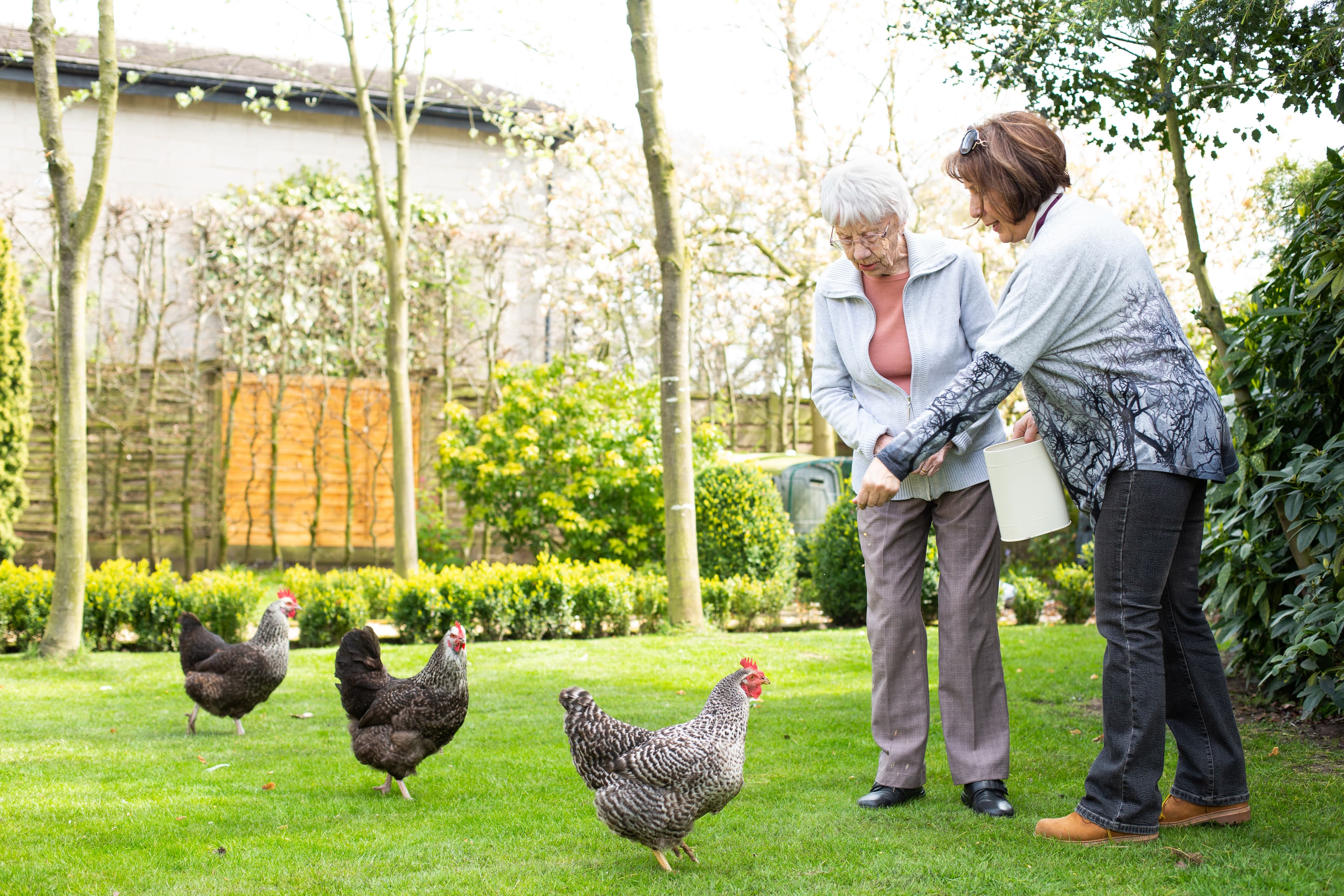 Two women feeding chickens in a backyard garden during the day, with trees and bushes in the background. - Home Instead