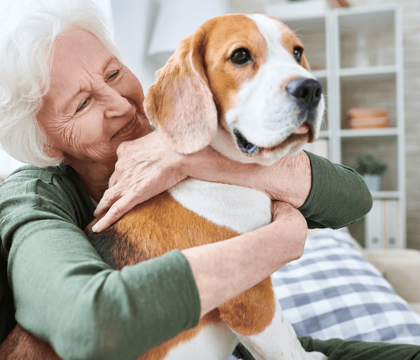 Supporting Your Loved Ones and their Pets: How Home Instead Market Harborough Can Assist with Daily Living Activities