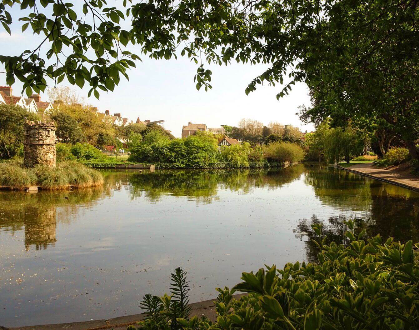 Feeding Feathered Friends: Best spots to feed the ducks