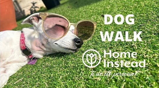 Home Instead Dog Walk