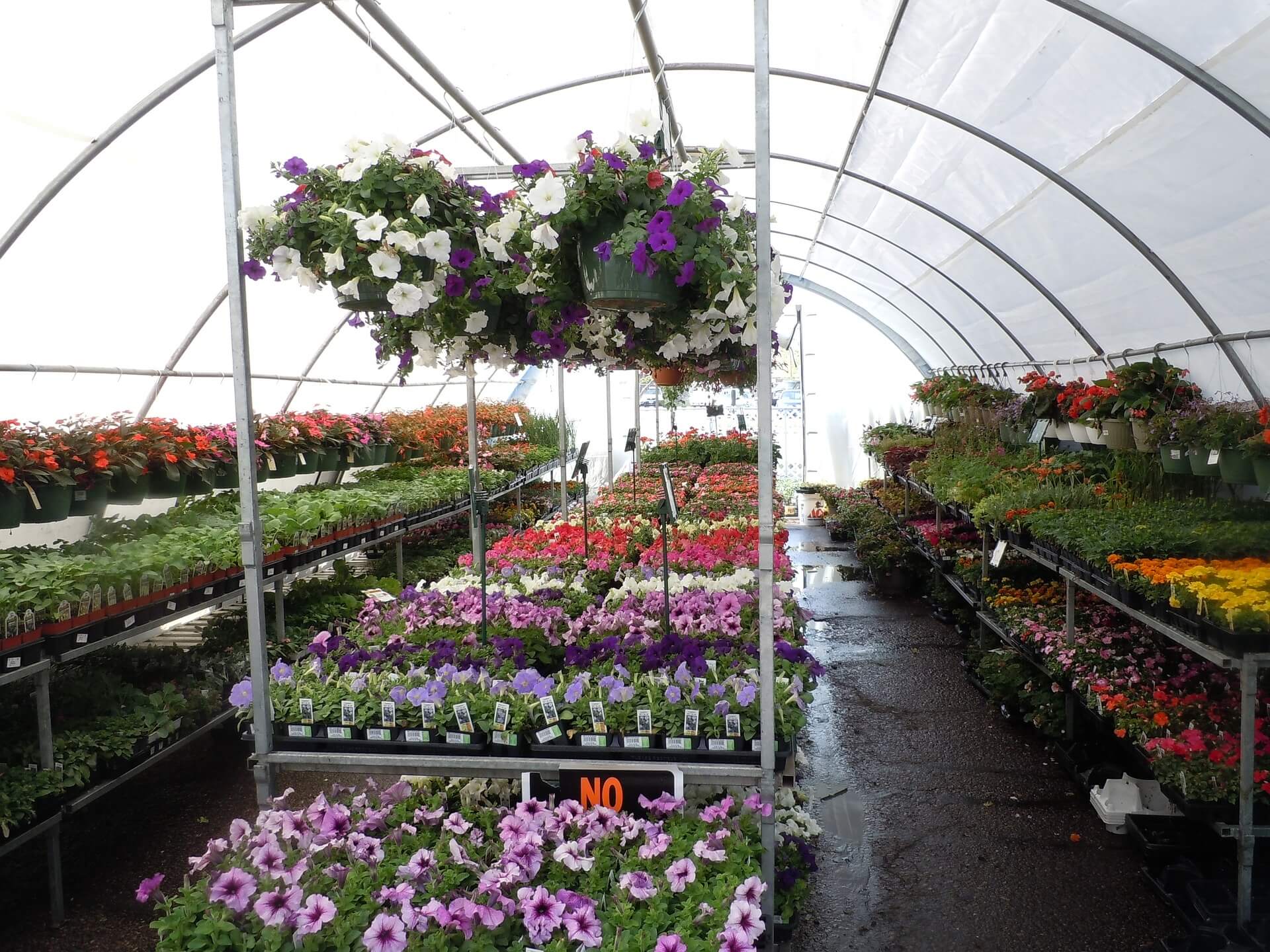 Transform Your Outdoor Space with Oldham's Best Garden Centres