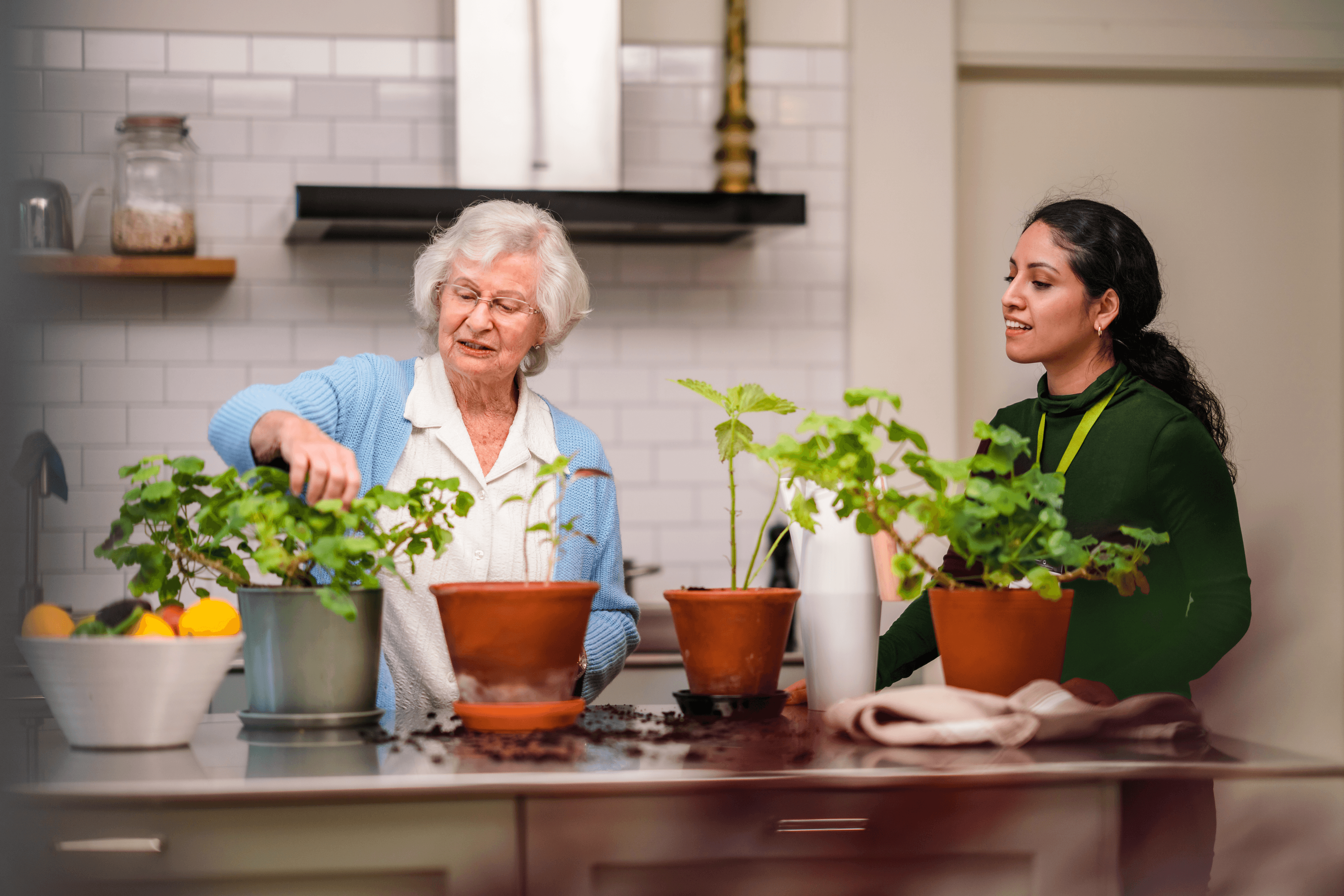 Client & Care Professional - Home Instead