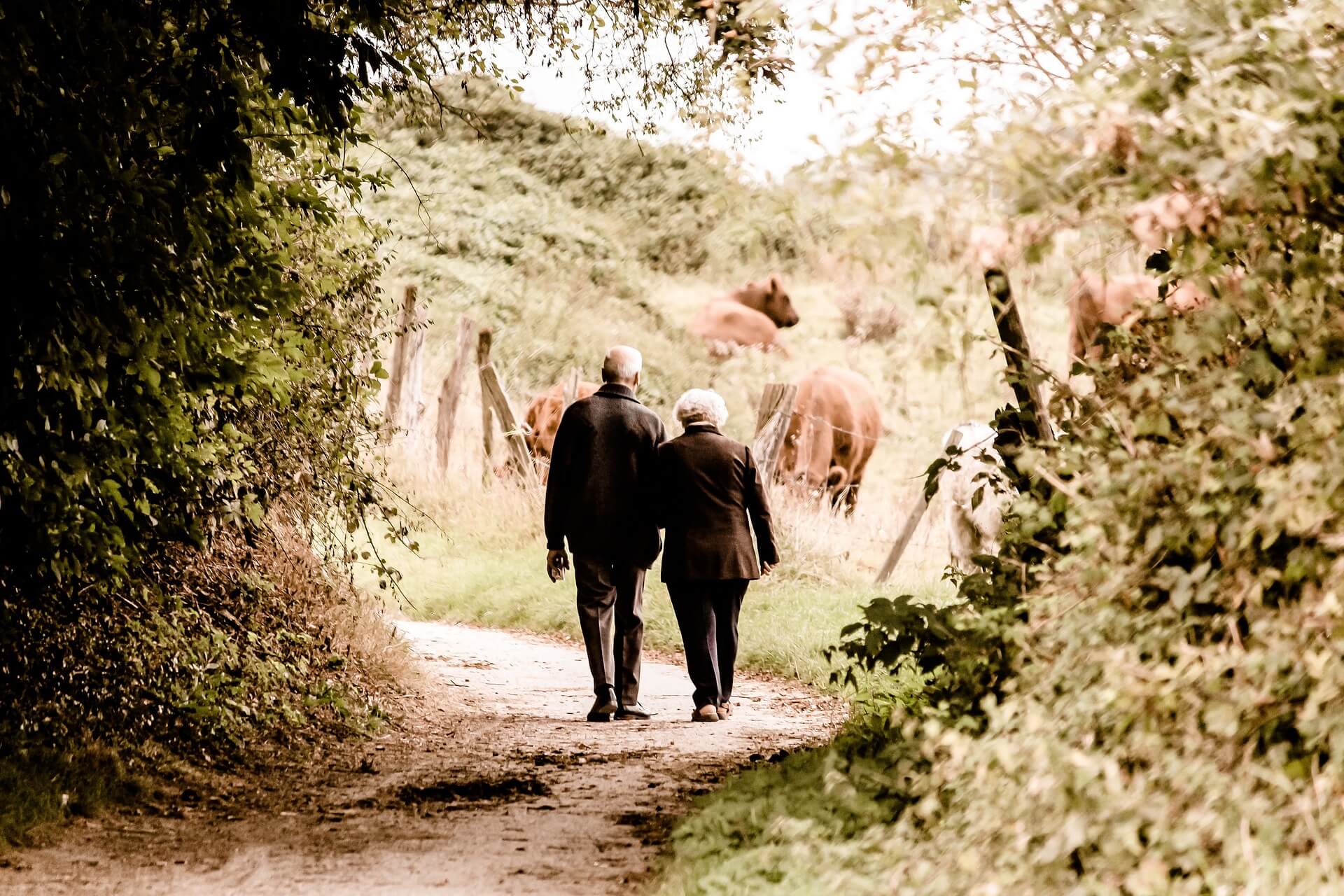 Elderly couple walking hand-in-hand on a rural path surrounded by trees and cows in the background. - Home Instead