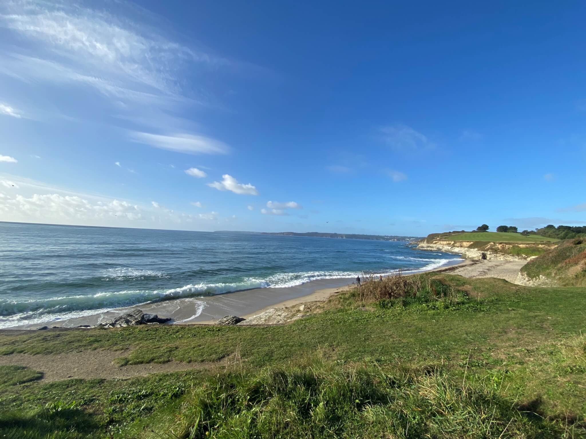 A grassy path leads to a serene, sandy beach with gentle waves under a clear blue sky. - Home Instead