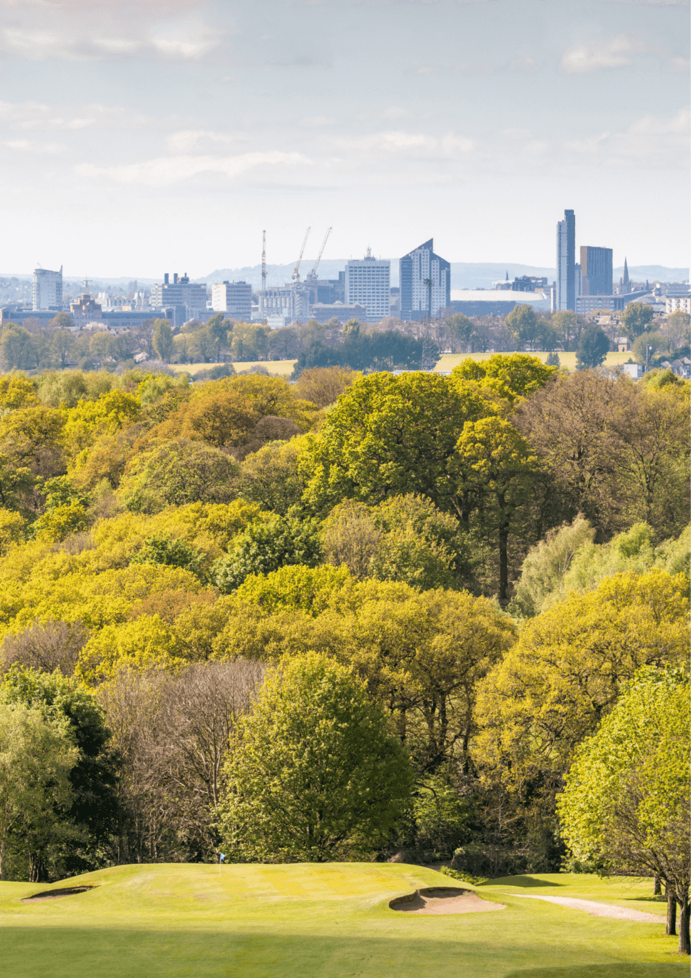 A view of a golf course with trees and a distant city skyline featuring modern buildings and cranes under a partly cloudy sky. - Home Instead