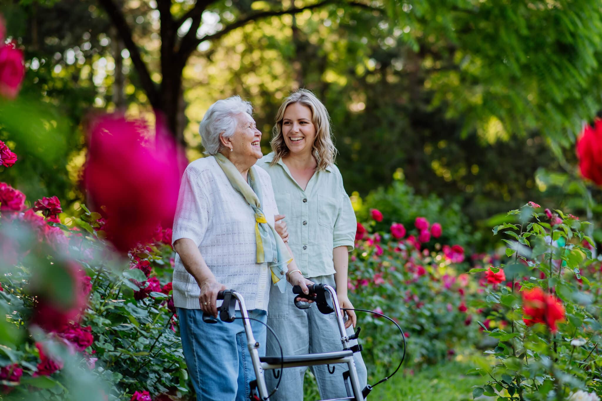 An elderly woman with a walker and a younger woman smile while walking in a garden with blooming red flowers. - Home Instead
