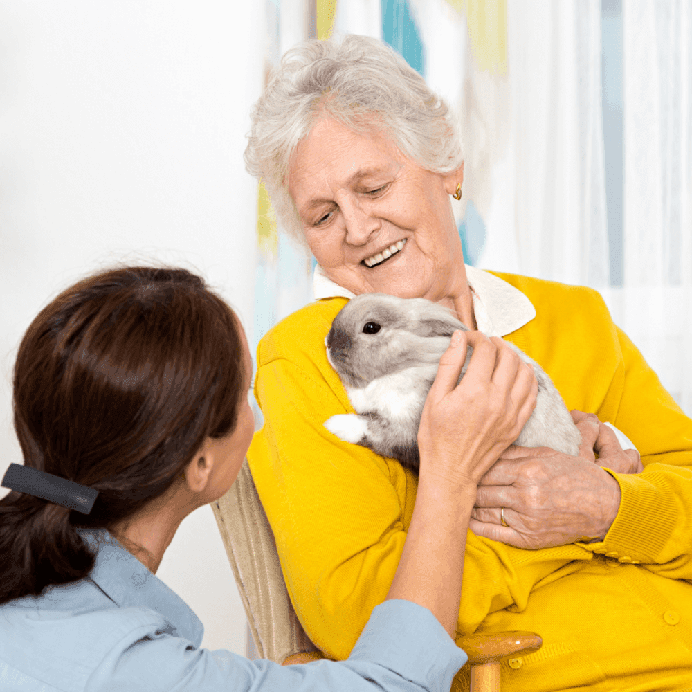 Elderly woman in a yellow sweater smiling and holding a gray rabbit, while a younger woman in blue looks on affectionately. - Home Instead