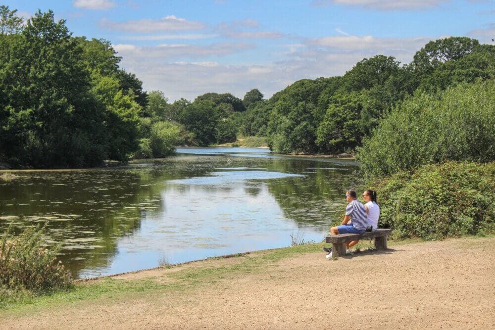 Two people sit on a bench overlooking a serene lake surrounded by lush greenery on a sunny day. - Home Instead