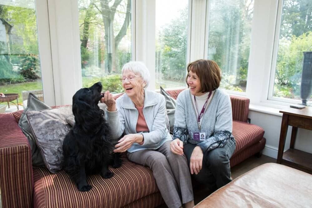 Older woman and caregiver sitting on a couch with a black dog in a bright room, smiling and interacting happily. - Home Instead