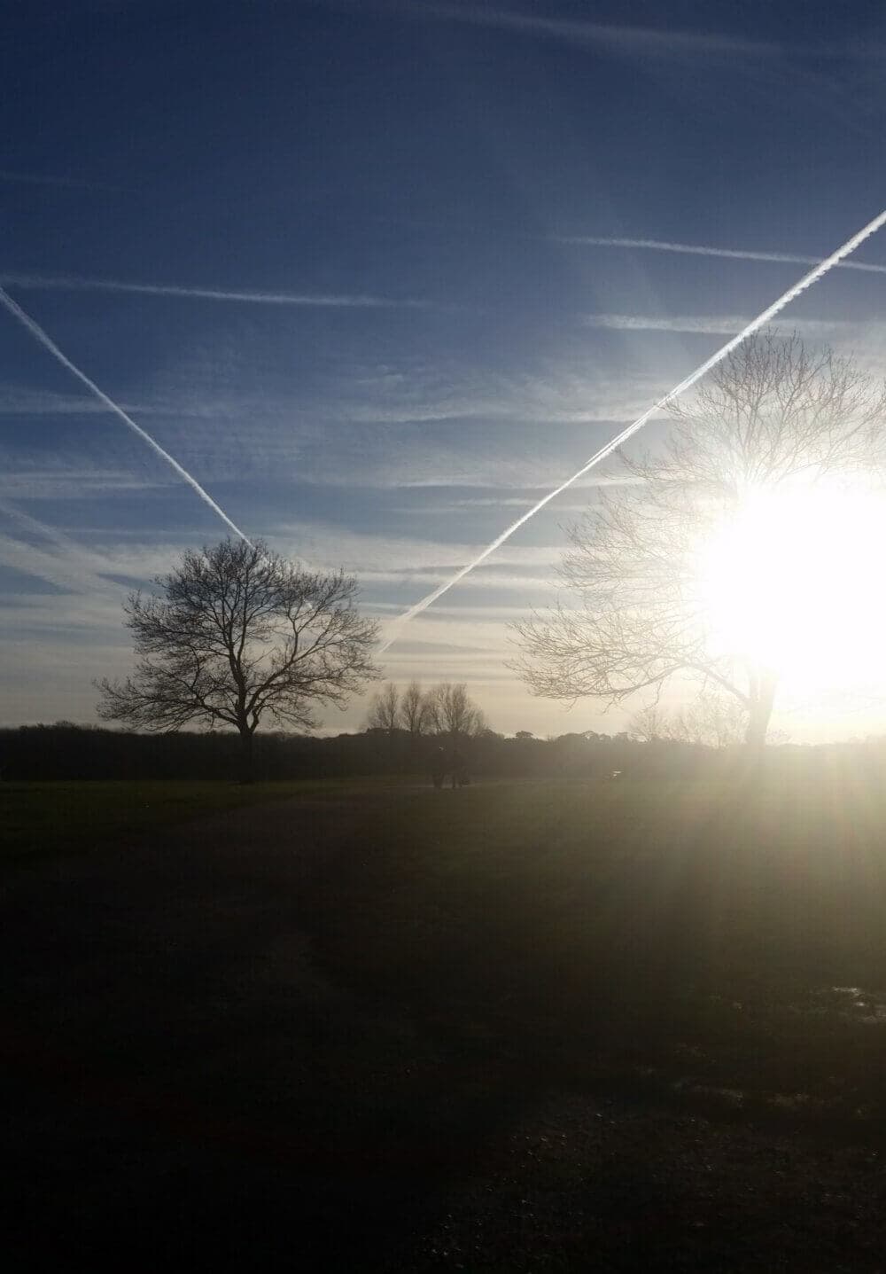 A bright sun shines through trees, casting long shadows on a path with crisscrossing vapor trails in the sky. - Home Instead