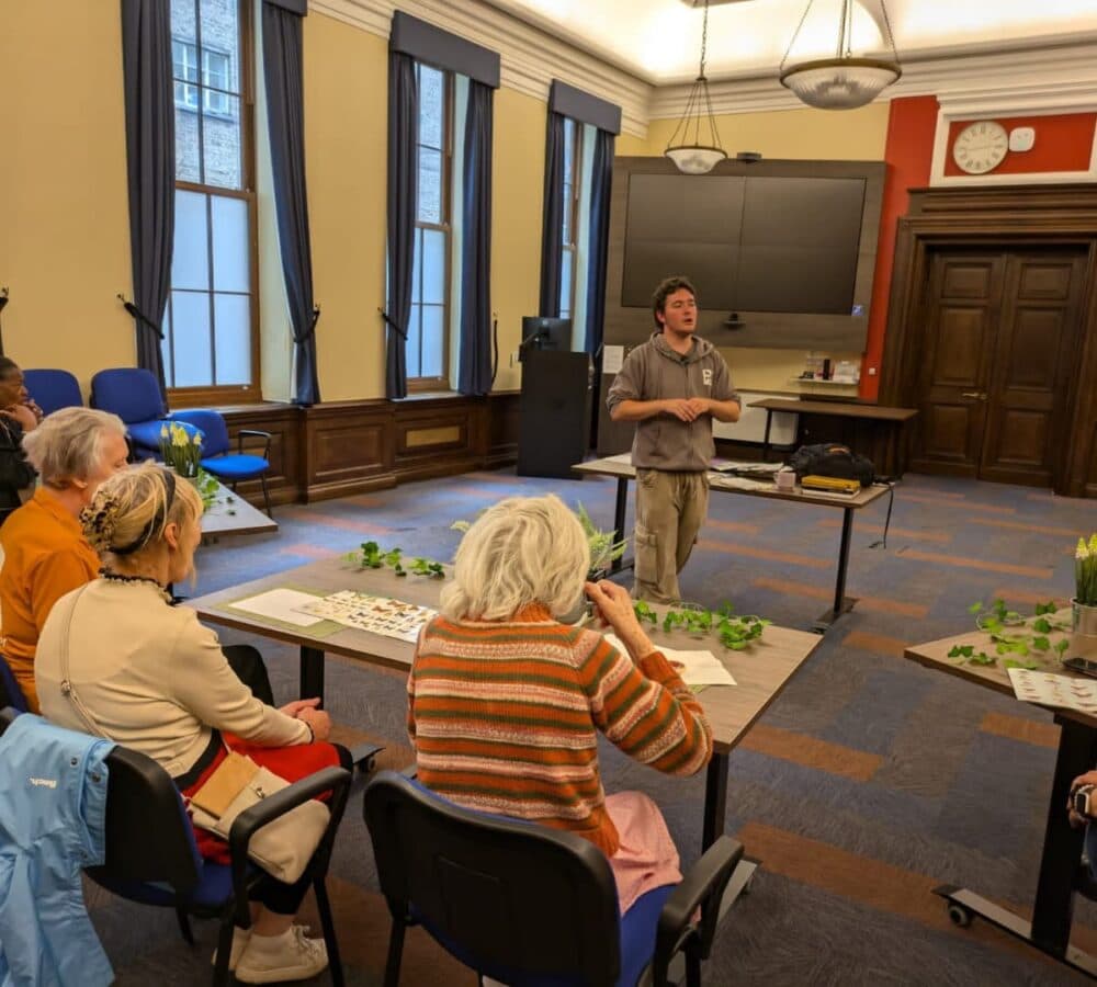 Butterfly Cafe at King’s College Hospital in Denmark Hill