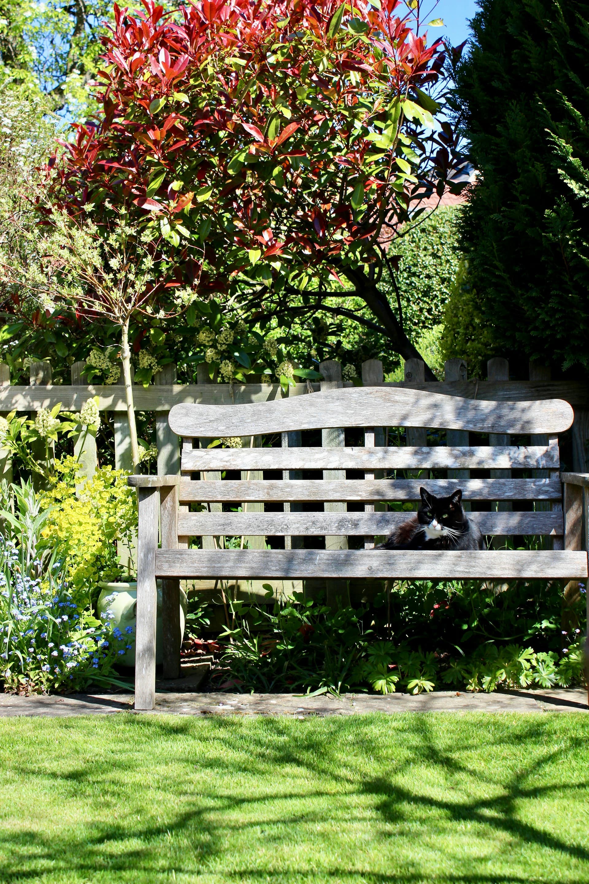 Spring scene of a park bench