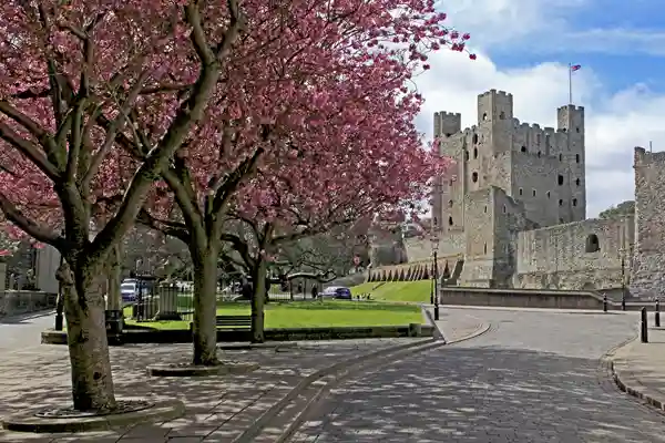 Blossoming trees line a cobblestone path leading to a historic stone castle under a blue sky. - Home Instead