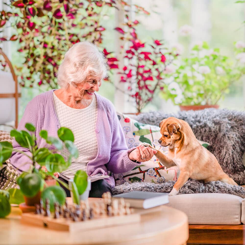 Elderly woman sitting on a sofa, smiling and holding the paw of a small dog in a bright, plant-filled room. - Home Instead