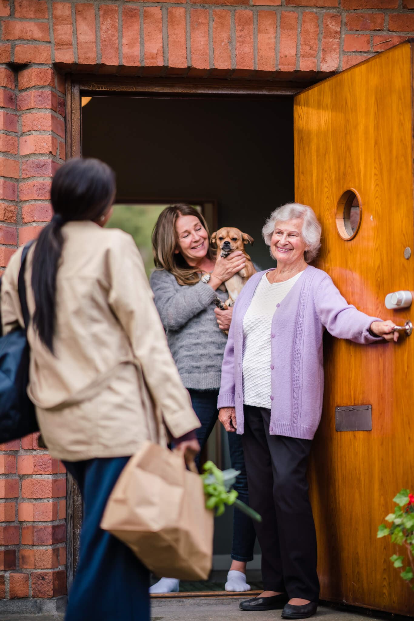 Older woman and younger woman holding a small dog greet a third woman at the door carrying groceries. - Home Instead