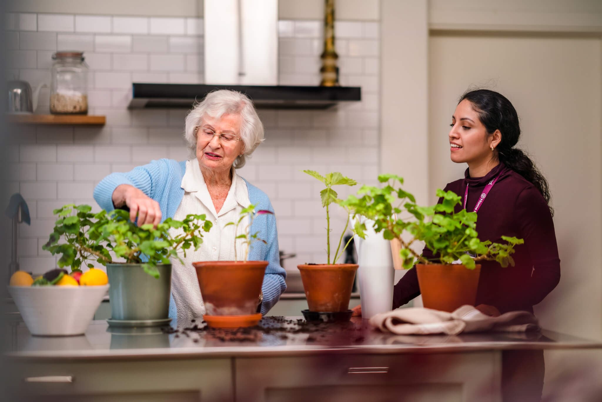 An elderly woman and a younger woman tending to potted plants on a kitchen counter together. - Home Instead