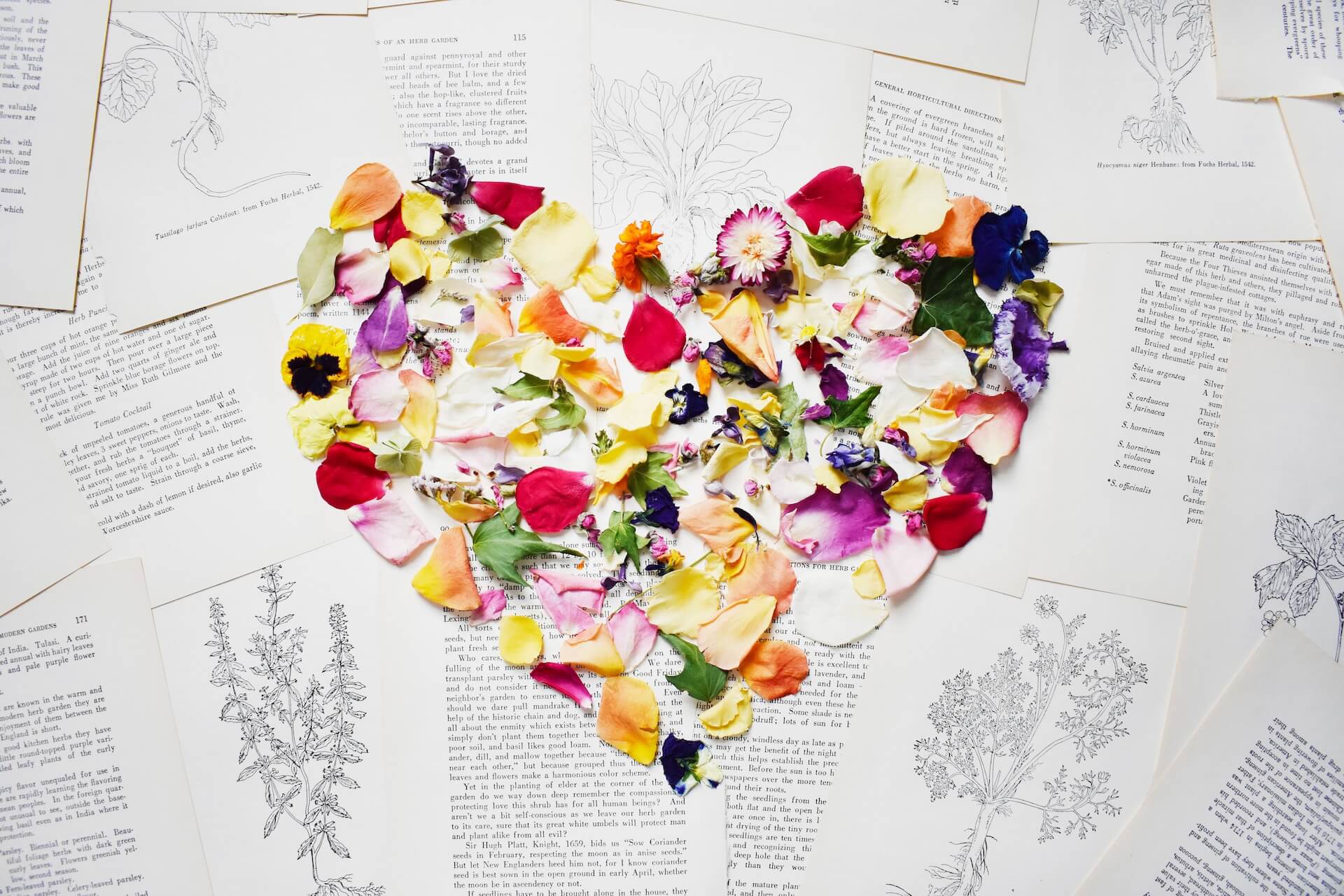 Heart-shaped arrangement of colorful flower petals on top of botanical illustrations and pages from books. - Home Instead