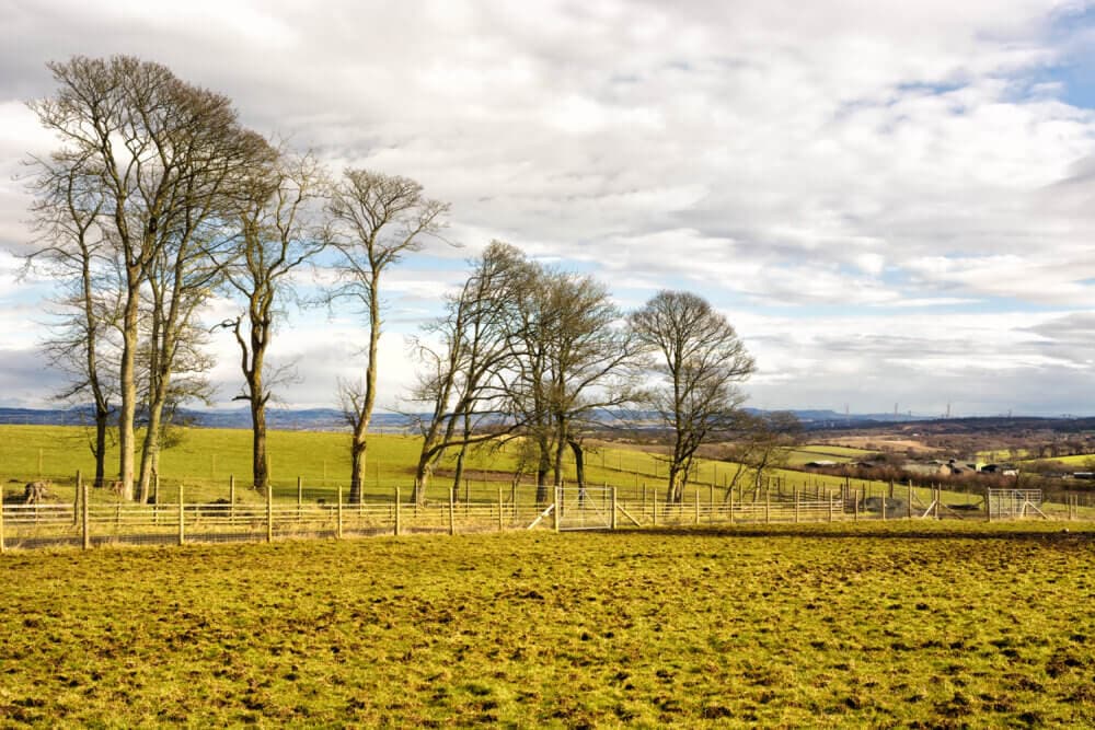 Bare trees stand in a grassy field with a wooden fence, under a cloudy sky in a rural landscape. - Home Instead