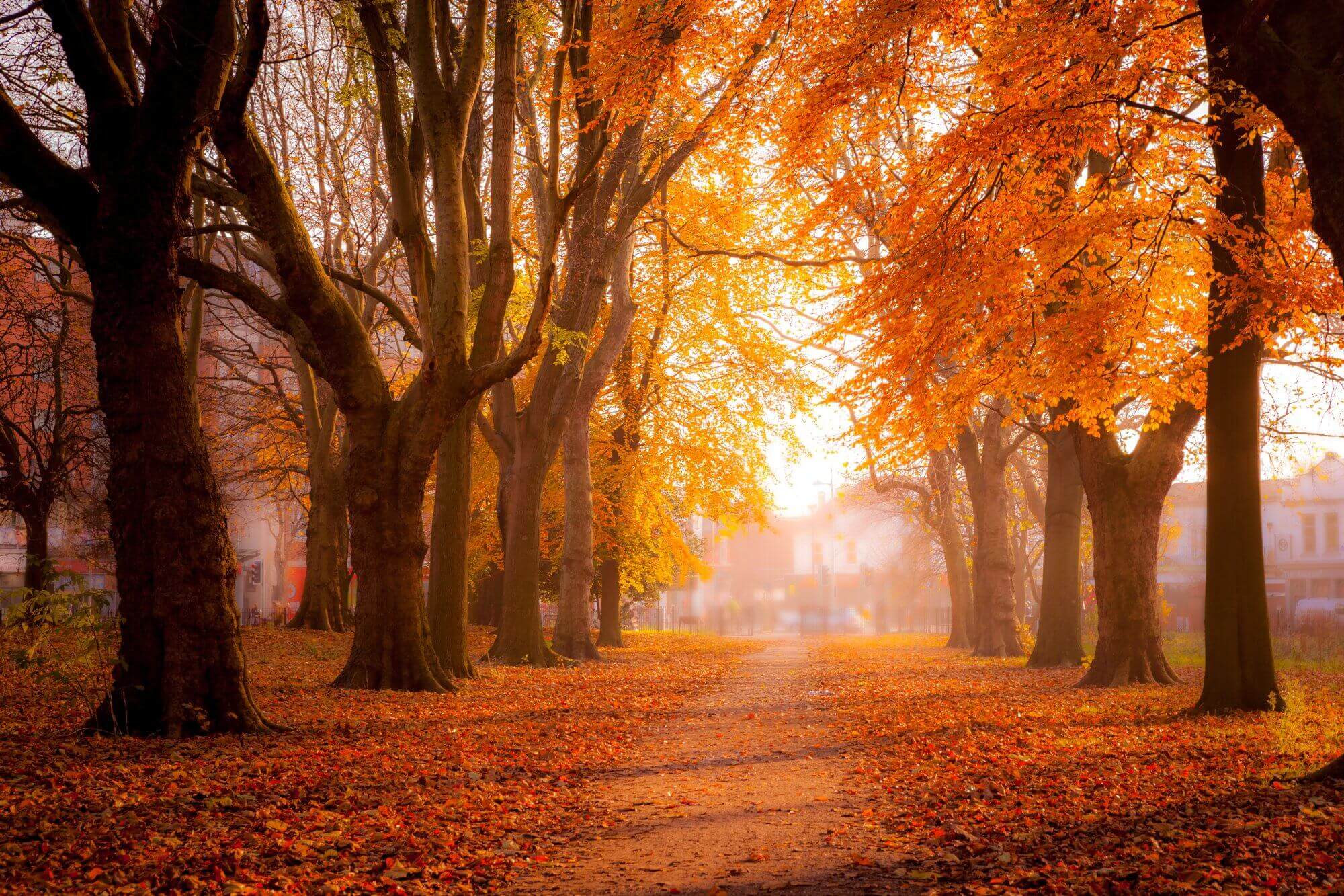 Preparing Home & Routine for Autumn & Winter