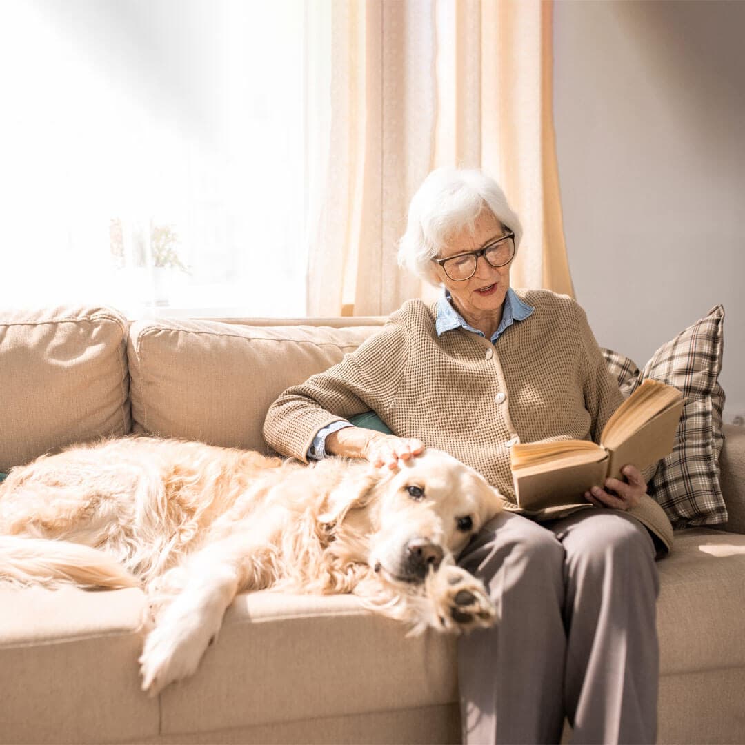Farnborough Home Instead: Pet-friendly Live-in Care